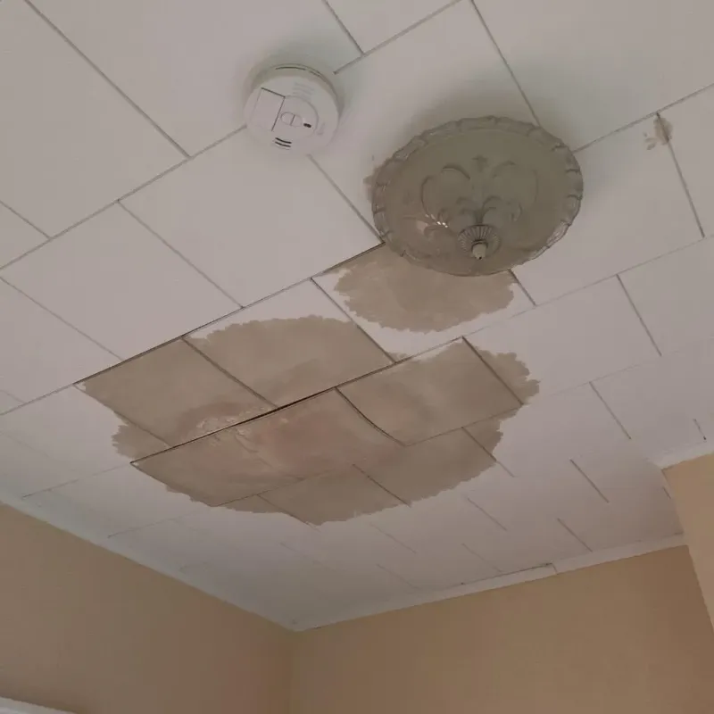 Ceiling Water Damage Repair in Norwalk, CT