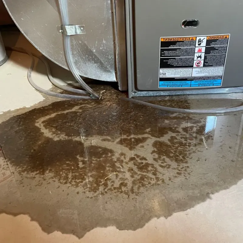 Pipe Burst and Leak Restoration in Norwalk, CT