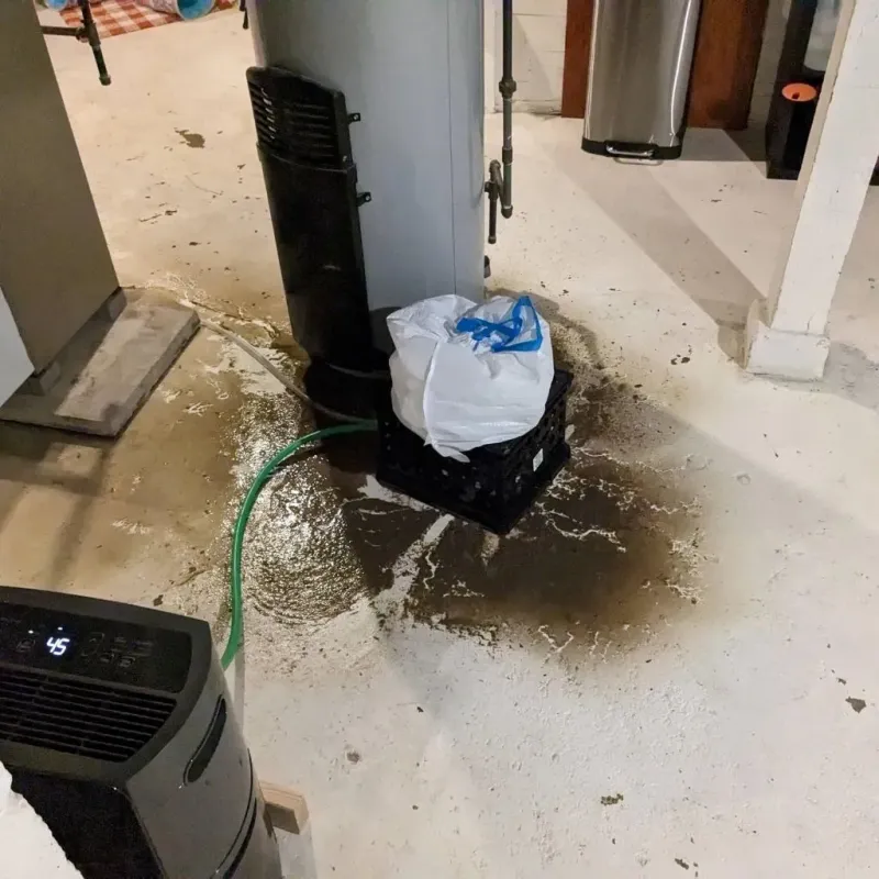 Sewage Backup Cleanup Service in Norwalk, CT